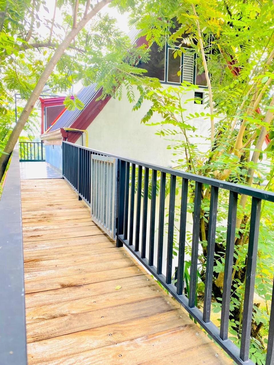 Cloudy Hill Cottage 埃拉 外观 照片