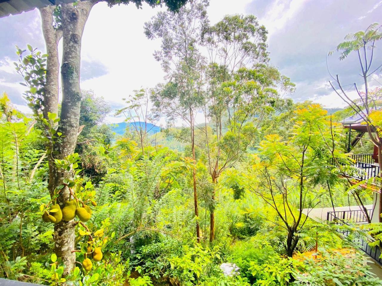 Cloudy Hill Cottage 埃拉 外观 照片
