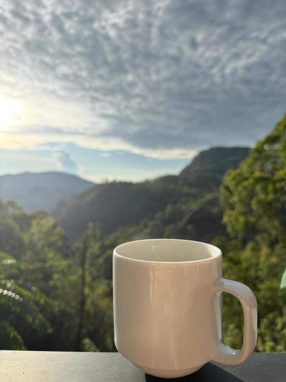 Cloudy Hill Cottage 埃拉 外观 照片